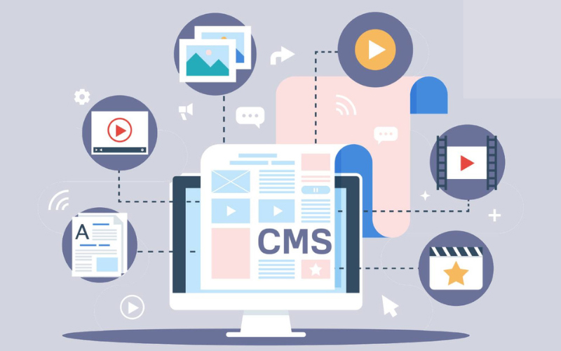 Hệ thống quản lý CMS cung cấp một số plugin và công cụ hỗ trợ đẩy xếp hạng trang web